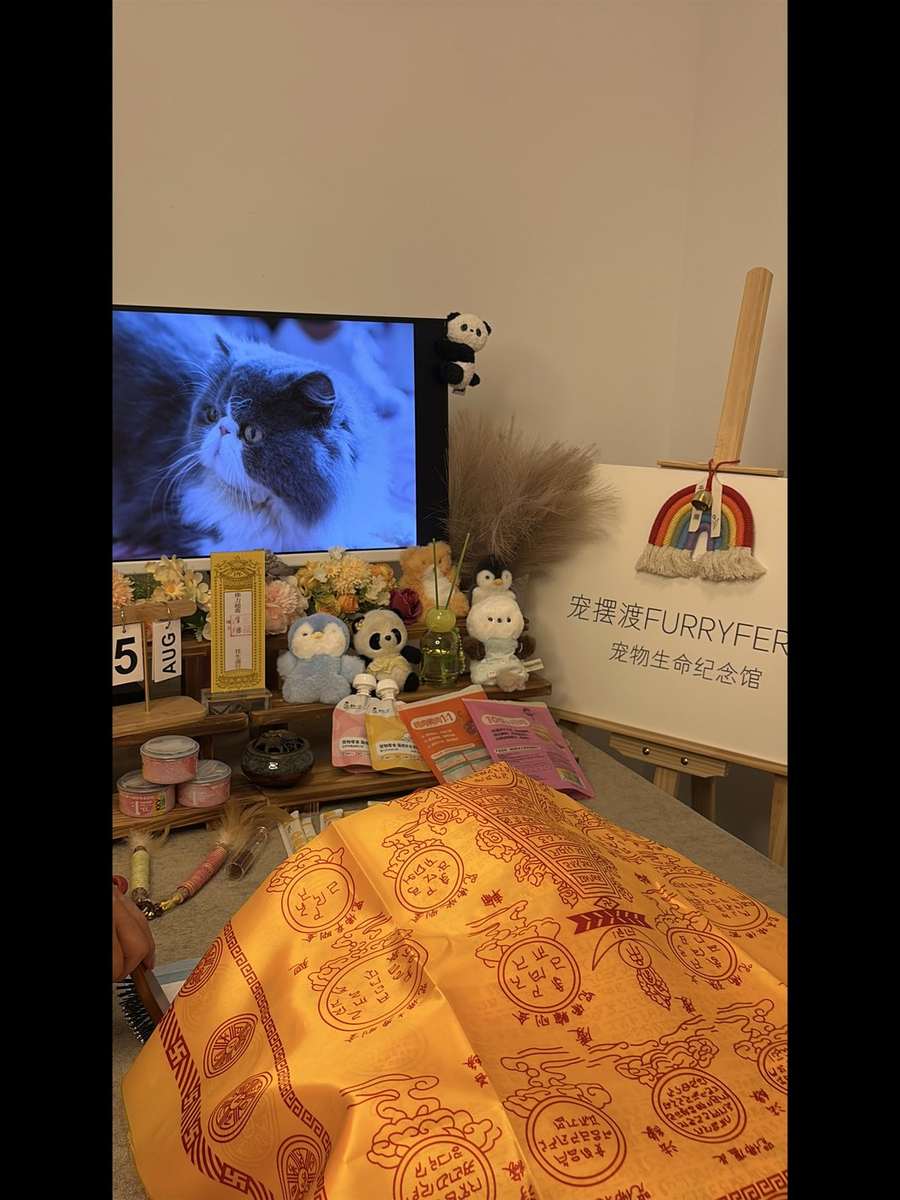 北海宠物单独火化